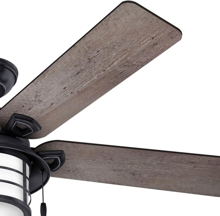 54 in. Outdoor Ceiling Fans with Light, Indoor Outdoor Ceiling Fans with LED Lights and Pull Chain Control-12-ErisView
