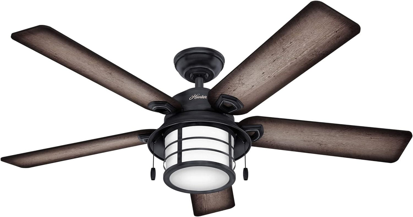 54 in. Outdoor Ceiling Fans with Light, Indoor Outdoor Ceiling Fans with LED Lights and Pull Chain Control-1-ErisView