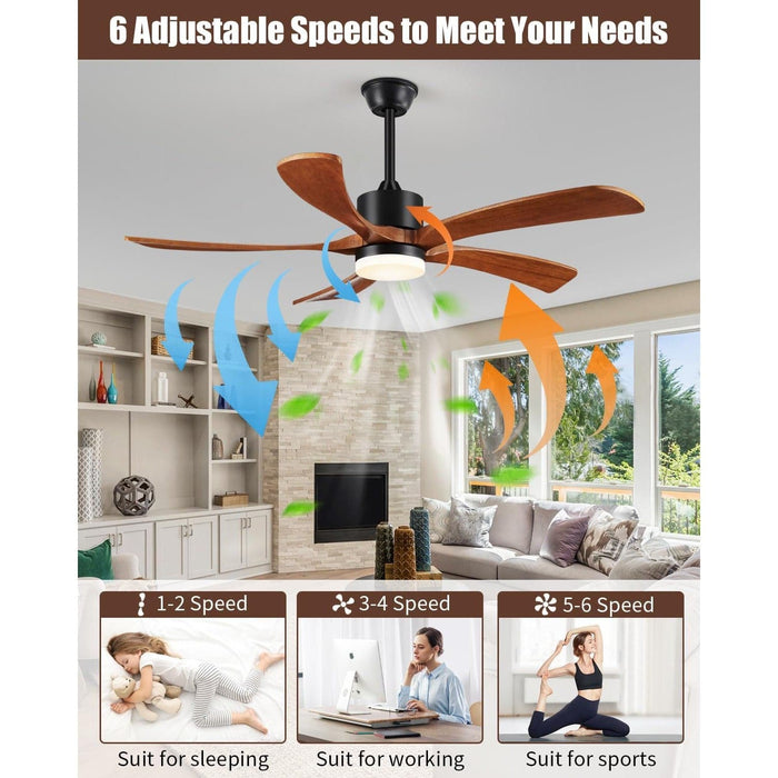 54 in. Outdoor Fans with Lights Remote Control, 5 Blades Wood Outdoor Fan for Patio, Exterior Fans-5-ErisView
