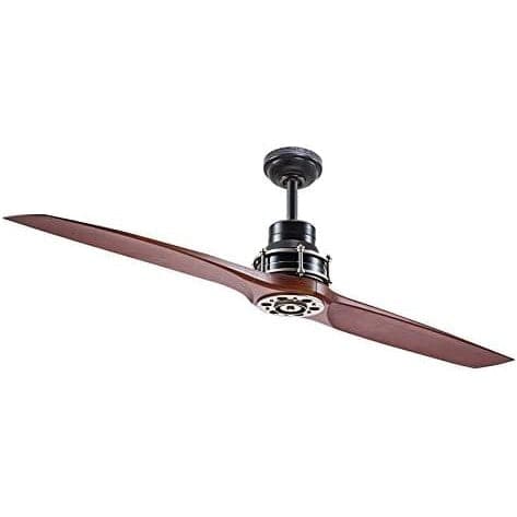 56 in. Black 2 Blade Ceiling Fan, Indoor Antique Remote Control Fan-2-ErisView