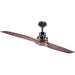 56 in. Black 2 Blade Ceiling Fan, Indoor Antique Remote Control Fan-2-ErisView