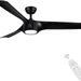 56 in. Black Ceiling Fan, Modern Indoor Outdoor Ceiling Fans with Light and Remote for Patio Bedroom Bedroom Living Room-1-ErisView