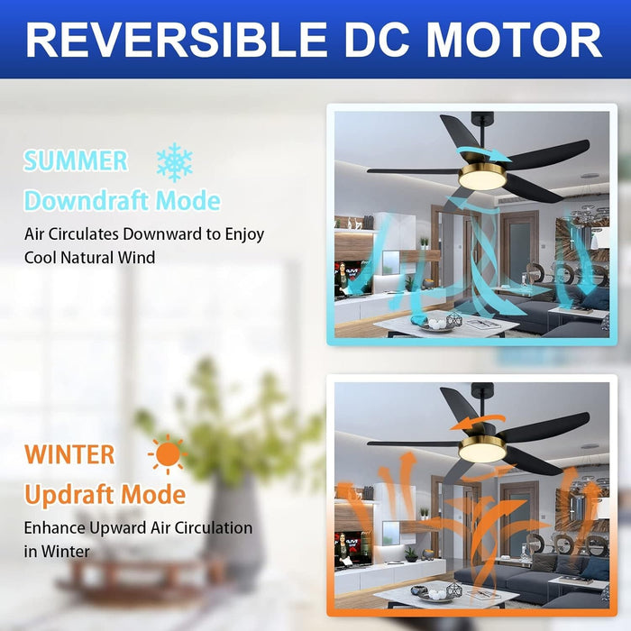 56 in. Black Ceiling Fan with Light and Remote Control, Indoor Ceiling Fan in Winter Summer for Living Room Bedroom, Outdoor Patio Ceiling Fan-5-ErisView