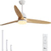 56 in. Large Remote Control Ceiling Fan with Light, Dimmable Reversible Modern Farmhouse Light Wood Ceiling Fan for Kitchen Bedroom Dining Living Room-1-ErisView