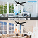 56 in. Outdoor Ceiling Fan with Light, Remote Control Fan, Reversible Dimmable LED Quiet Ceiling Fans for Living Room Bedroom, Black Outdoor Ceiling Fan-5-ErisView