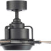 56 in. Smart Indoor Outdoor Black Ceiling Fan with LED Light and Remote Control, Works with Alexa Google Assistant Samsung Things Ios android APP-3-ErisView