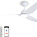 56 in. Smart Indoor Outdoor Reversible Quiet Ceiling Fan with Light and Remote, 3 Blade Modern White Ceiling Fan for Bedroom Living Room Patio-1-ErisView
