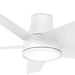 58 in. Outdoor Hugger Ceiling Fans with LED Lights and Remote Control, White Outdoor Ceiling Fans with Light-1-ErisView