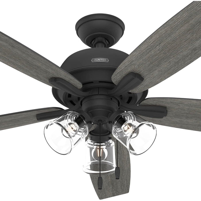 60 in. 5 Blade Ceiling Fan with Light, Matte Black Ceiling Fan, Hunter Ceiling Fan-11-ErisView