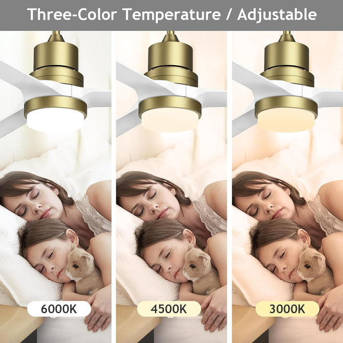 60 in. Black Ceiling Fan with Remote for Living Room, Bedroom Ceiling Fans, Modern Reversible DC Ceiling Fan, Outdoor Patio Ceiling Fans-36-ErisView