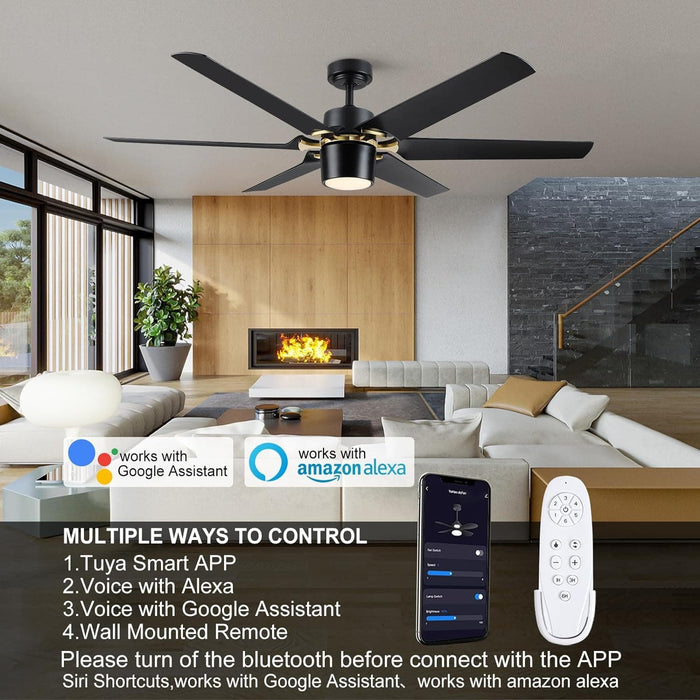 60 in. Black Fans with Lights and Remote, Reversible Modern Smart Ceiling Fan, Compatible with Alexa, Google Home, Smart APP-2-ErisView