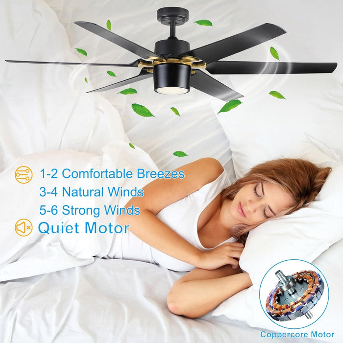 60 in. Black Fans with Lights and Remote, Reversible Modern Smart Ceiling Fan, Compatible with Alexa, Google Home, Smart APP-5-ErisView
