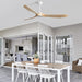 60 in. Brushed Nickel Ceiling Fan with Remote Control, 3 Wood Light Walnut Blades Reversible DC Ceiling Fan-12-ErisView