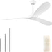 60 in. Ceiling Fan NO Light, Reversible Silent Modern White Ceiling Fan with Remote for Indoor Living Room Fan Bedroom and Outdoor Patio-1-ErisView