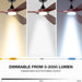 60 in. Ceiling Fan with Light, Solid Wood Blade Smart Ceiling Fan with Remote and APP Control-8-ErisView