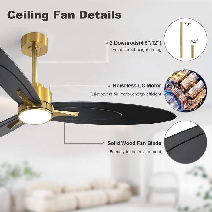 60 in. Ceiling Fan with Light, Unique Ceiling Fans with Remote Control, 3 Solid Wood Blades Ceiling Fan for Living Room Bedroom Kitchen-7-ErisView
