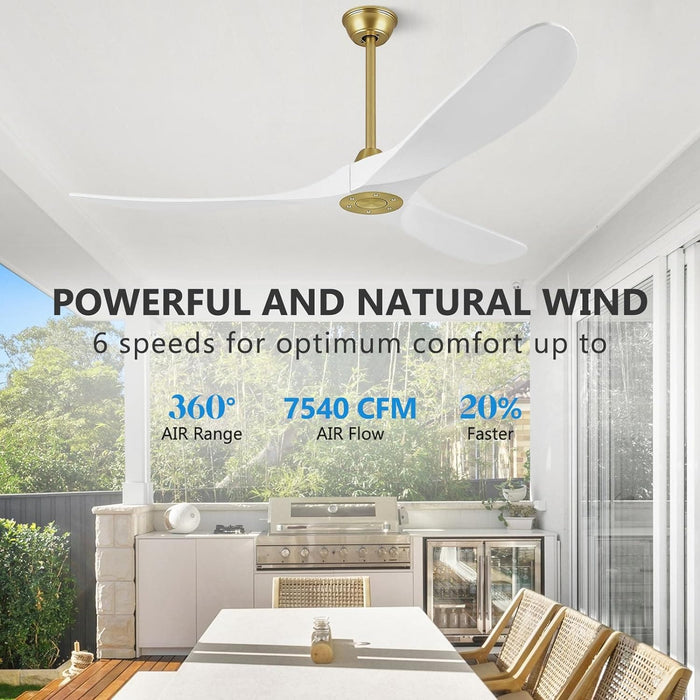 60 in. Ceiling Fans without Lights, Wood Ceiling Fan NO Light with Remote Wall Switch, Indoor Outdoor Fan for Bedroom Living Room Patio Porch-11-ErisView