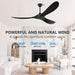 60 in. Ceiling Fans without Lights, Wood Ceiling Fan NO Light with Remote Wall Switch, Indoor Outdoor Fan for Bedroom Living Room Patio Porch-24-ErisView