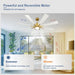 60 in. Grey Large Farmhouse Ceiling Fan with Remote and APP Control, Outdoor Reversible DC Ceiling Fan for Indoor Outdoor Use-40-ErisView