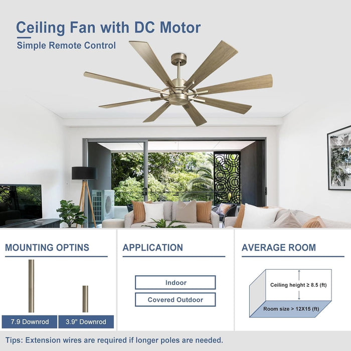 60 in. Grey Large Farmhouse Ceiling Fan with Remote and APP Control, Outdoor Reversible DC Ceiling Fan for Indoor Outdoor Use-65-ErisView