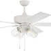 60 in. Indoor Outdoor Wet Rated Ceiling Fan with LED Light and Pull Chain, 5 Blade Ceiling Fan-2-ErisView
