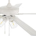 60 in. Indoor Outdoor Wet Rated Ceiling Fan with LED Light and Pull Chain, 5 Blade Ceiling Fan-3-ErisView