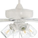 60 in. Indoor Outdoor Wet Rated Ceiling Fan with LED Light and Pull Chain, 5 Blade Ceiling Fan-5-ErisView