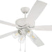 60 in. Indoor Outdoor Wet Rated Ceiling Fan with LED Light and Pull Chain, 5 Blade Ceiling Fan-6-ErisView