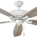 60 in. Indoor and Outdoor Ceiling Fans, Low Profile Outdoor Ceiling Fans Light, Wood Finish Reversible Ceiling Fan-4-ErisView