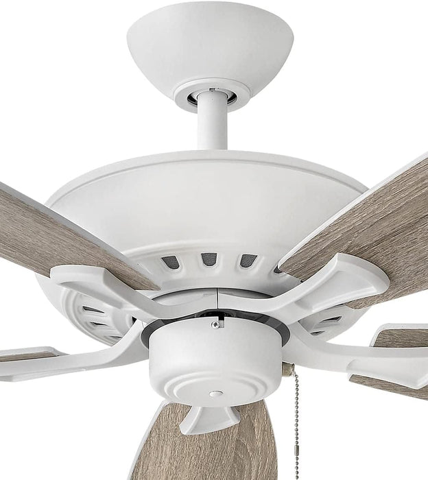 60 in. Indoor and Outdoor Ceiling Fans, Low Profile Outdoor Ceiling Fans Light, Wood Finish Reversible Ceiling Fan-5-ErisView