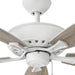 60 in. Indoor and Outdoor Ceiling Fans, Low Profile Outdoor Ceiling Fans Light, Wood Finish Reversible Ceiling Fan-5-ErisView