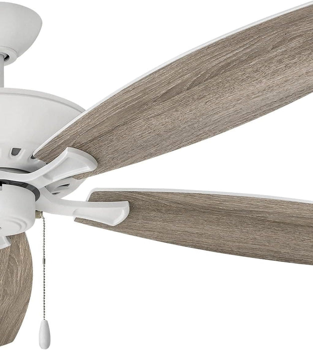 60 in. Indoor and Outdoor Ceiling Fans, Low Profile Outdoor Ceiling Fans Light, Wood Finish Reversible Ceiling Fan-6-ErisView