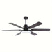 60 in. Large 6-Blade Ceiling Fan for Living Room, Industrial Downrod Mount Black Ceiling Fan with Light Kit and Remote Control Reversible Blade-ErisView