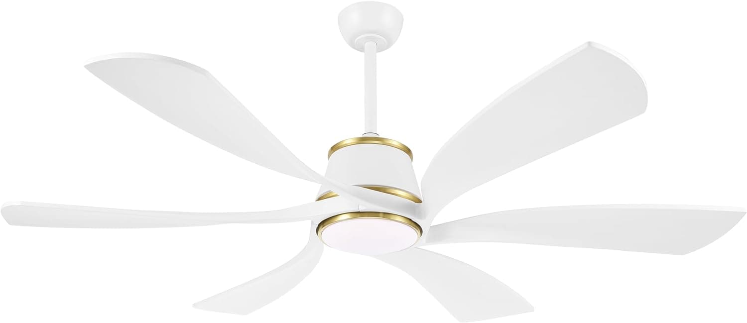 60 in. Large Smart Ceiling Fan with Light and Remote APP Control, Modern Dimmable LED Reversible DC Ceiling Fan, Compatible with Alexa and Google Assistant-1-ErisView