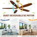 60 in. Modern Ceiling Fan with Light and Remote, 5 Blades Walnut Wood Black Outdoor Ceiling Fan, Brushed Nickel Ceiling Fan for Patio-26-ErisView