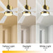 60 in. Modern Ceiling Fan with Light and Remote, Quiet Ceiling Fans with Lights for Kitchen Dining Living Room, 5 Wood Blades Ceiling Fan-35-ErisView