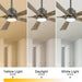 60 in. Modern Ceiling Fan with Light and Remote, Quiet Ceiling Fans with Lights for Kitchen Dining Living Room, 5 Wood Blades Ceiling Fan-3-ErisView