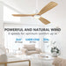 60 in. Outdoor Ceiling Fans, Walnut Wood Reversible Quietest Fan For Sleeping with Remote Control-17-ErisView