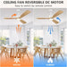 60 in. Outdoor Ceiling Fans, Walnut Wood Reversible Quietest Fan For Sleeping with Remote Control-21-ErisView