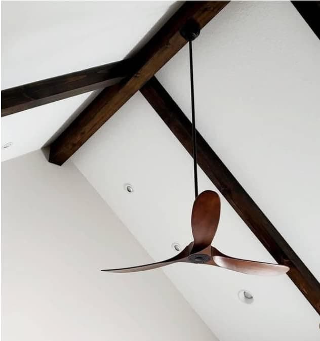 60 in. Outdoor Ceiling Fans with Remote Control, Black Outdoor Fan with 3 Wood Blades-3-ErisView