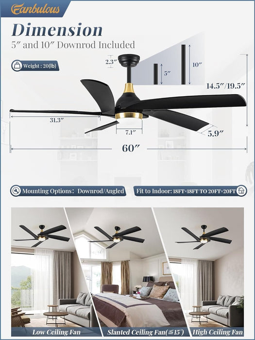 60 in. Remote Control Ceiling Fan and Light, 5 Blades Modern Large Ceiling Fan for Living Room Bedroom Dining Room, Outdoor Fan for Patio-6-ErisView