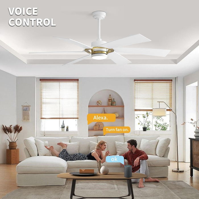 60 in. Smart Outdoor Fans with Lights, Plastic Reversible Ceiling Fan with APP Remote Voice Control, Dimmable LED Brass Ceiling Fan-4-ErisView