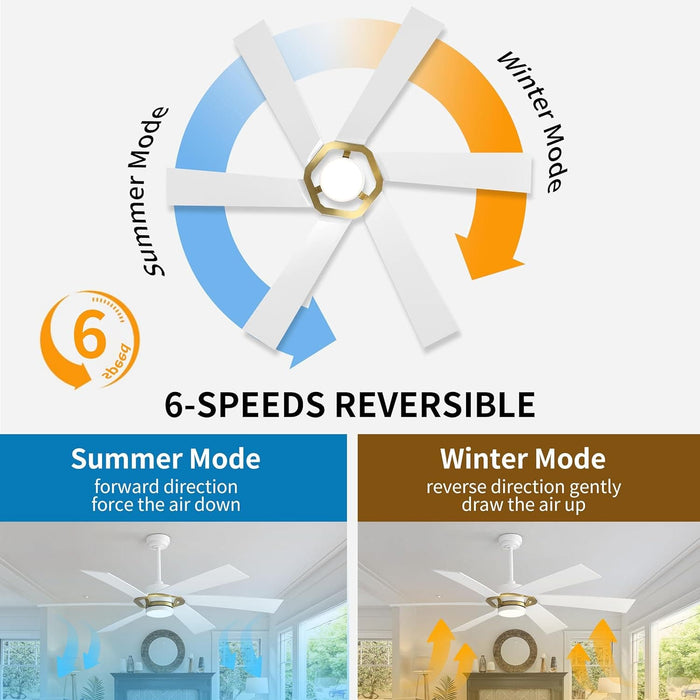 60 in. Smart Outdoor Fans with Lights, Plastic Reversible Ceiling Fan with APP Remote Voice Control, Dimmable LED Brass Ceiling Fan-5-ErisView
