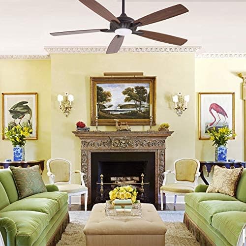 60 in. Unique Ceiling Fans with Lights and Remote, Bronze Ceiling Fan-7-ErisView