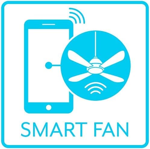60 in. Unique Ceiling Fans with Lights and Remote, Bronze Ceiling Fan-8-ErisView