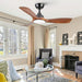 62 in. Large Farmhouse Ceiling Fan with Lights and Remote, Black Quiet Ceiling Fans, Quiet Ceiling Fans with Lights for Indoor Great Room-20-ErisView