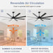 62 in. Large Farmhouse Ceiling Fan with Lights and Remote, Black Quiet Ceiling Fans, Quiet Ceiling Fans with Lights for Indoor Great Room-9-ErisView