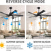 64 in. 5 Blade Remote Control Fan with Light, Nice Ceiling Fans, LED Ceiling Fan for Kitchen Bedroom Living Room, Matte Black Brass Ceiling Fan-12-ErisView