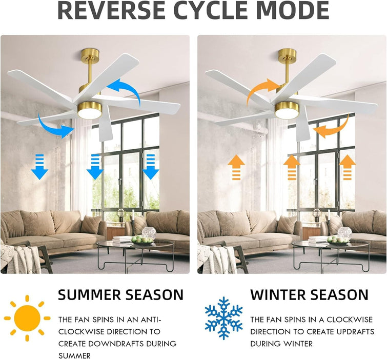 64 in. 5 Blade Remote Control Fan with Light, Nice Ceiling Fans, LED Ceiling Fan for Kitchen Bedroom Living Room, Matte Black Brass Ceiling Fan-27-ErisView