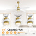 64 in. 5 Blade Remote Control Fan with Light, Nice Ceiling Fans, LED Ceiling Fan for Kitchen Bedroom Living Room, Matte Black Brass Ceiling Fan-29-ErisView